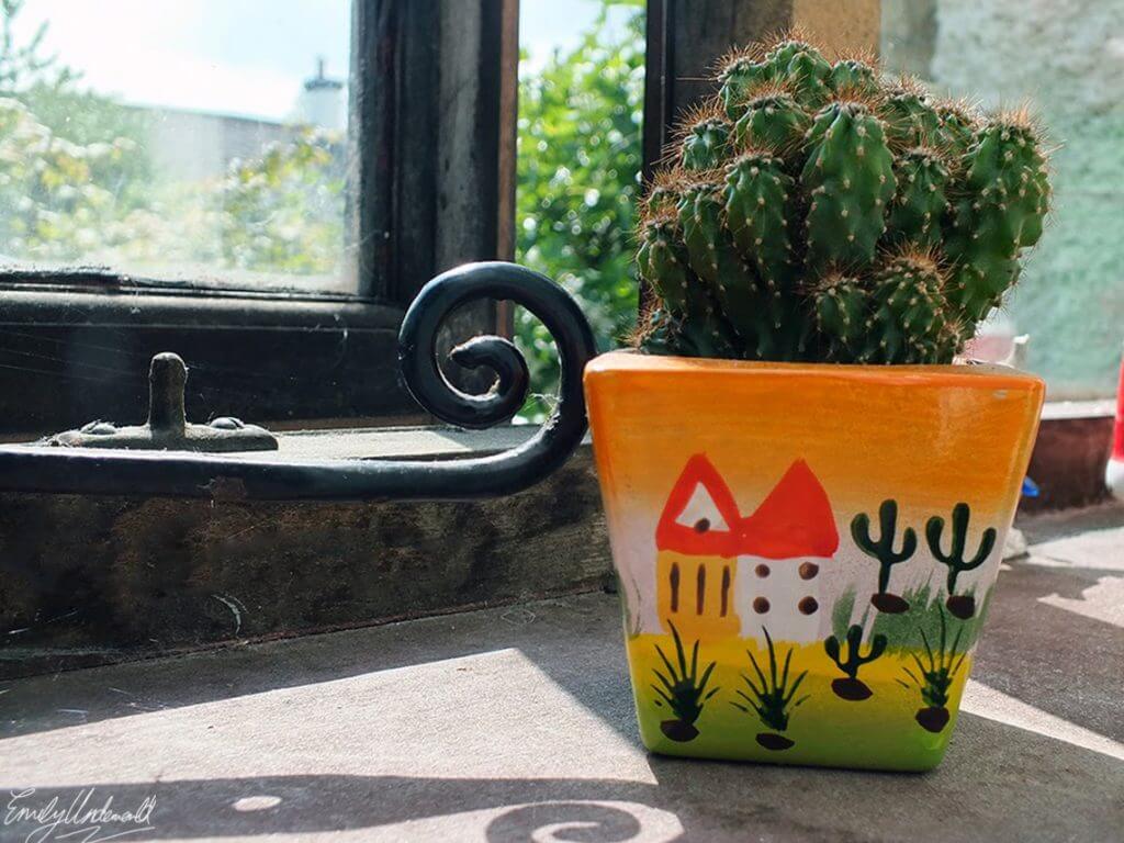 My Windowsill