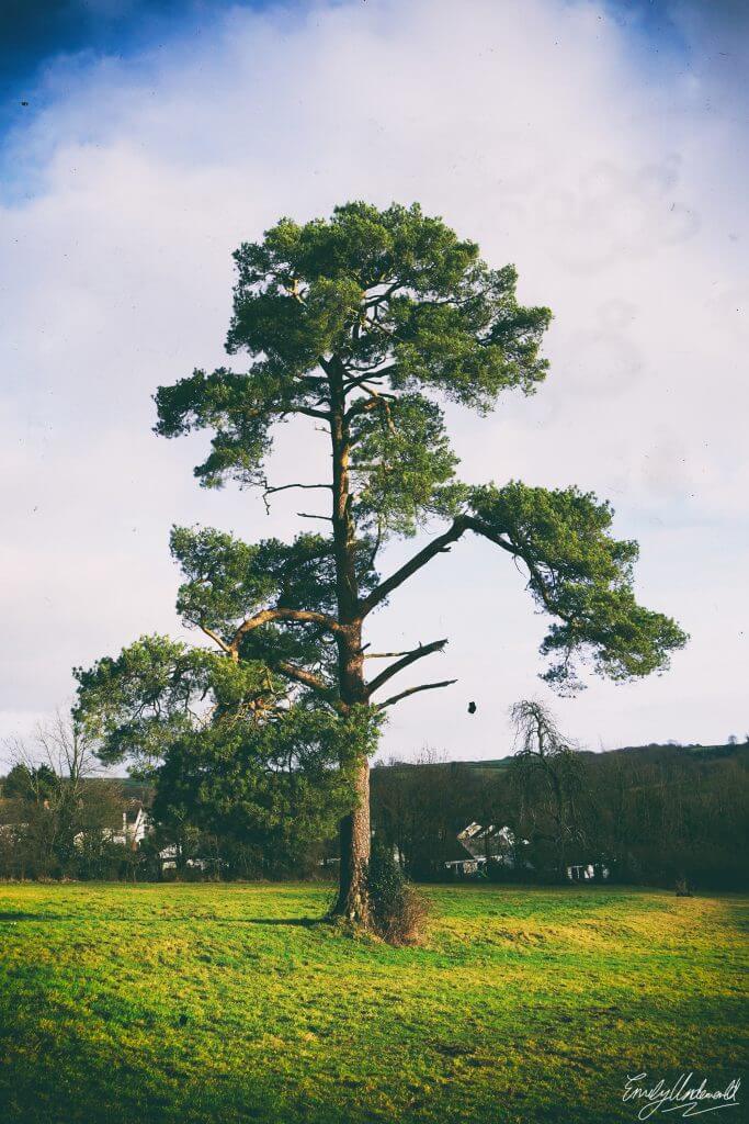 5 Ways You Can Drastically Reduce Your Carbon Footprint This Year