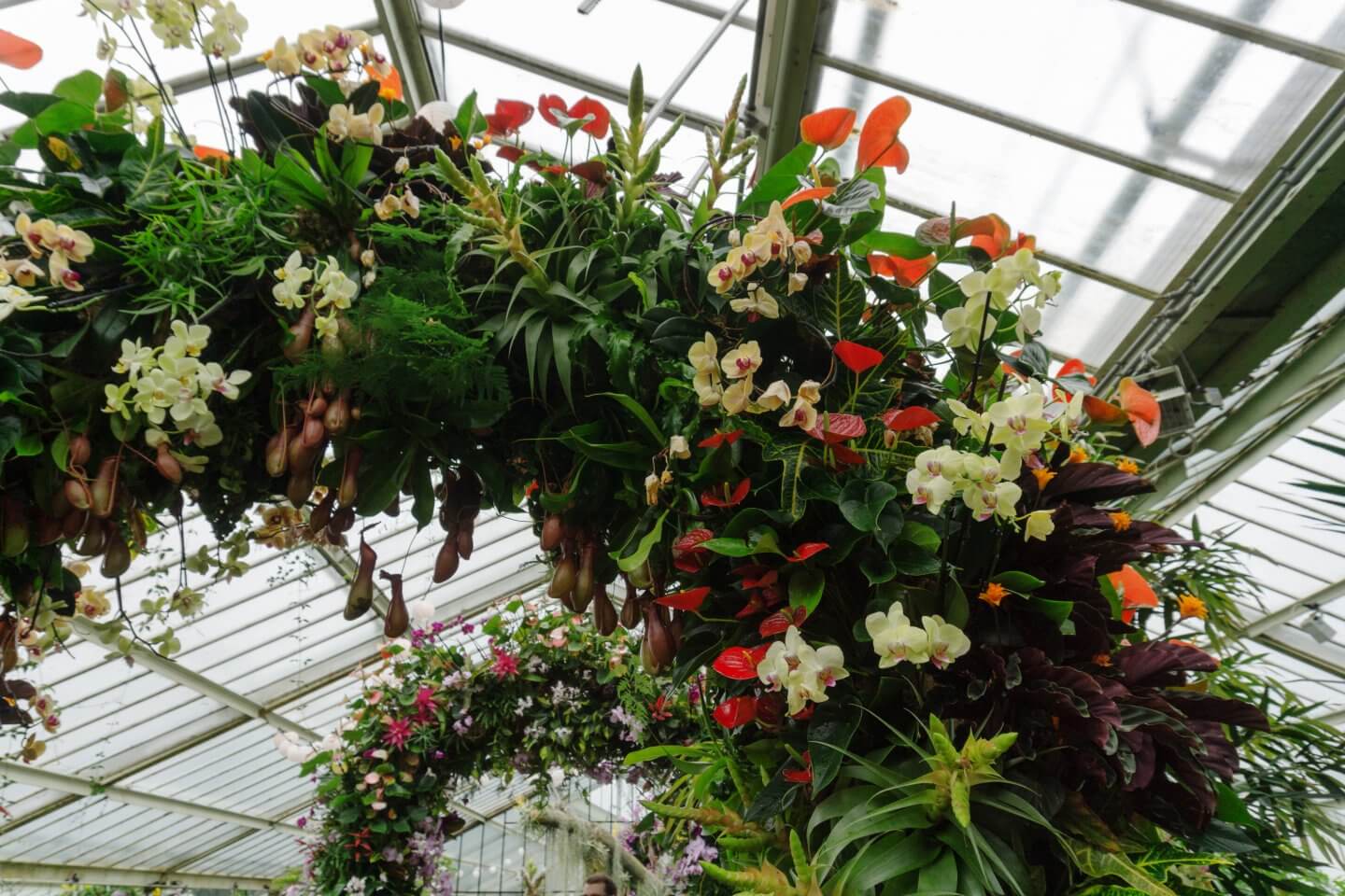 Romantic Things To Do In London