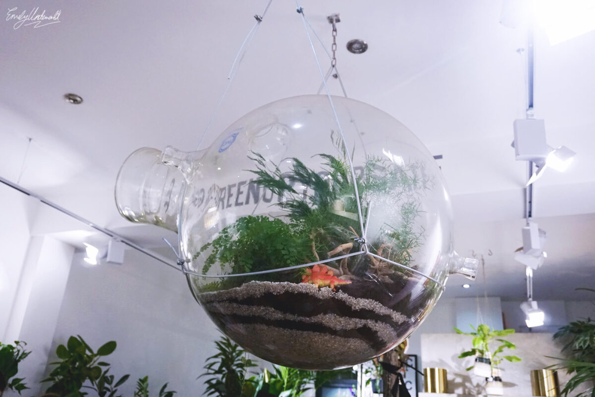 Making a Terrarium at Grace & Thorn with Obby!