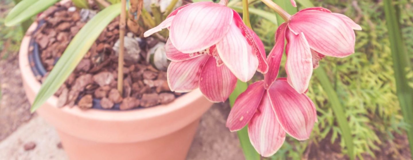 cropped emily underworld 710605 unsplash