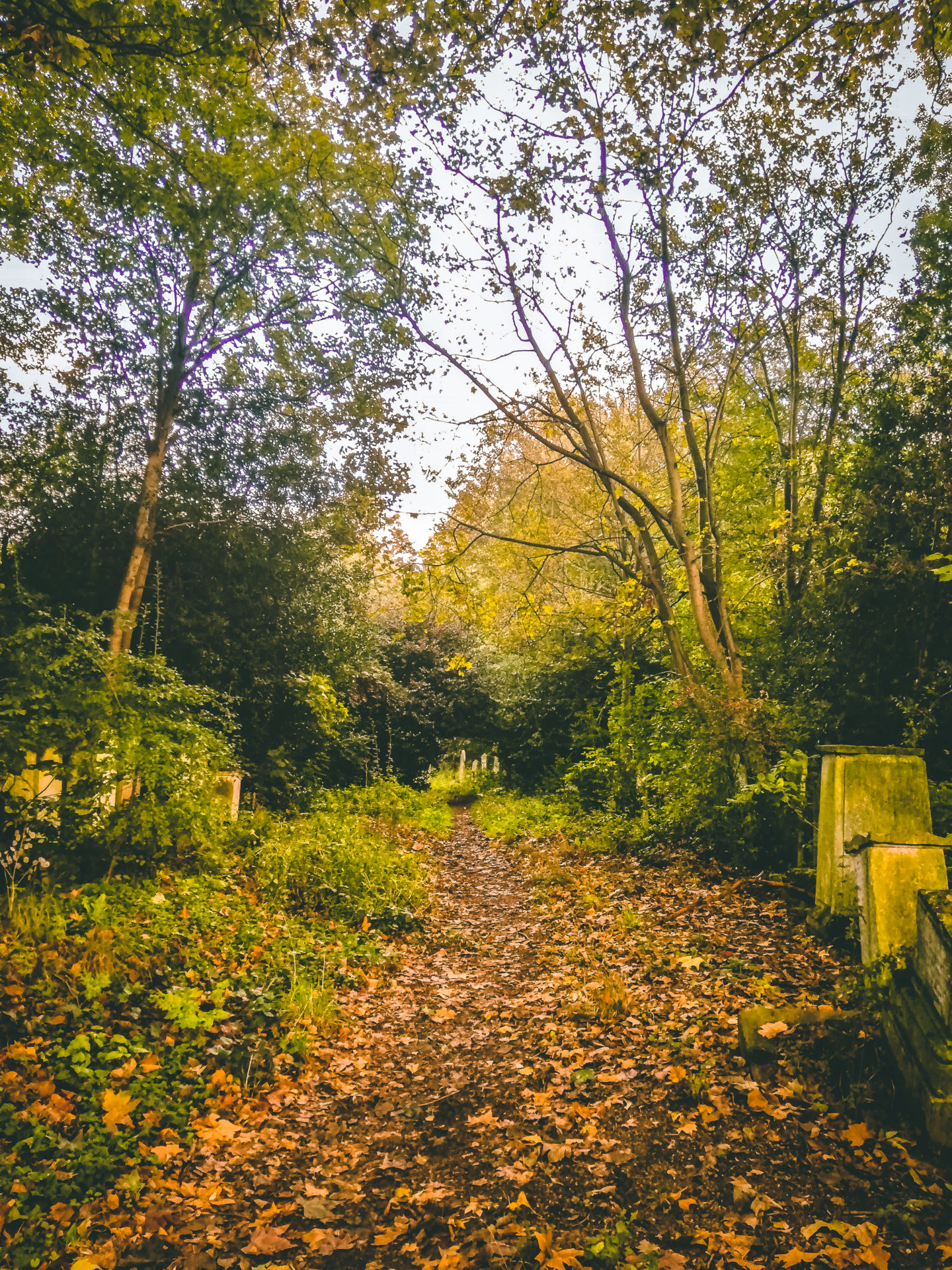 tower hamlets cemetery park