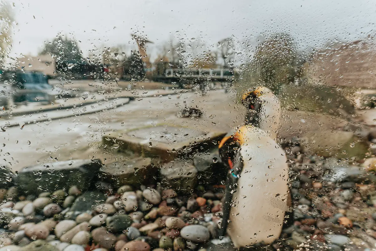 Visiting Edinburgh Zoo Penguins Parade: A Must-See Edinburgh Attraction