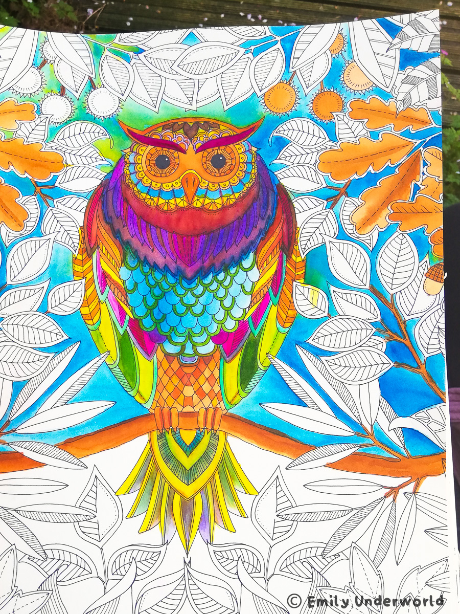 Adorable Owls Coloring Book: Best Adult Coloring Book with Cute Owl Portraits, Fun Owl Designs, Interested 50+ Unique Design Every One Must Loved It [Book]