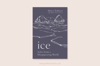 ice marco tedesco book