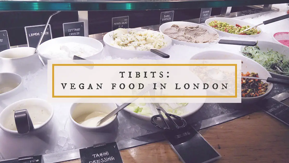 Tibits: Vegan and Vegetarian Food in Central London