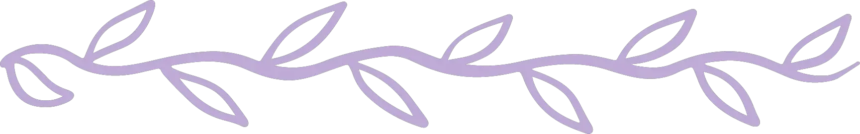 divider purple