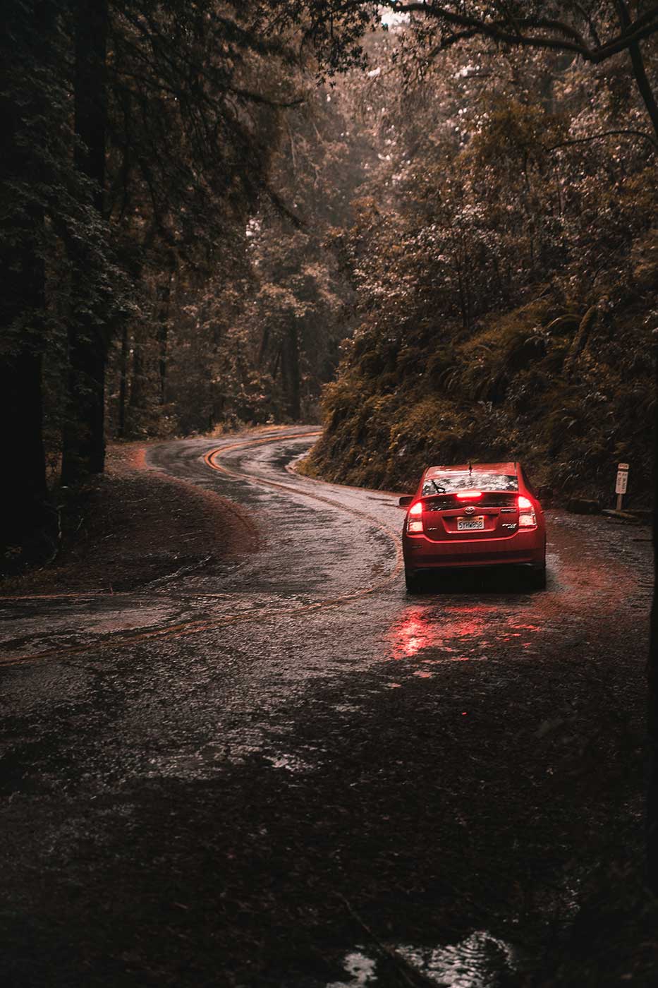 A red car on a winding road surrounded by trees, highlighting Tyre and Car Safety Tips For A Safe Road Experience.