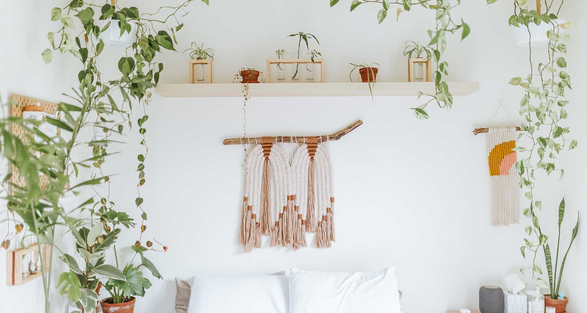 eco bedroom with plants