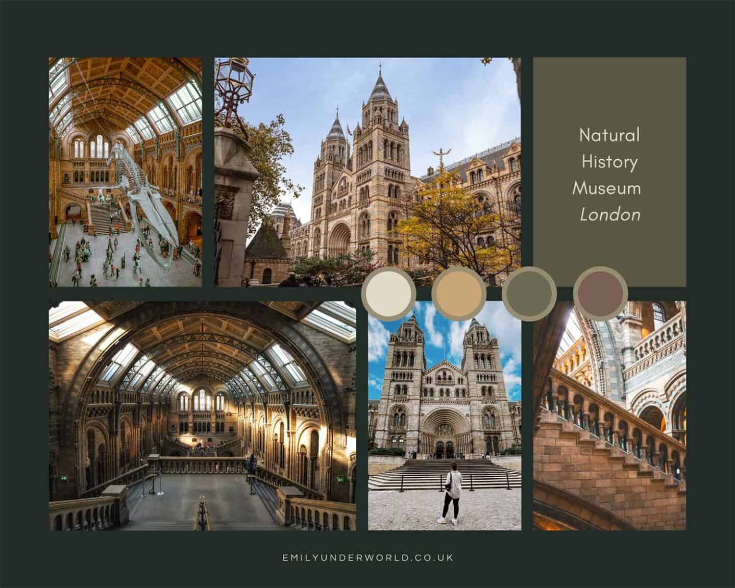 natural history museum collage