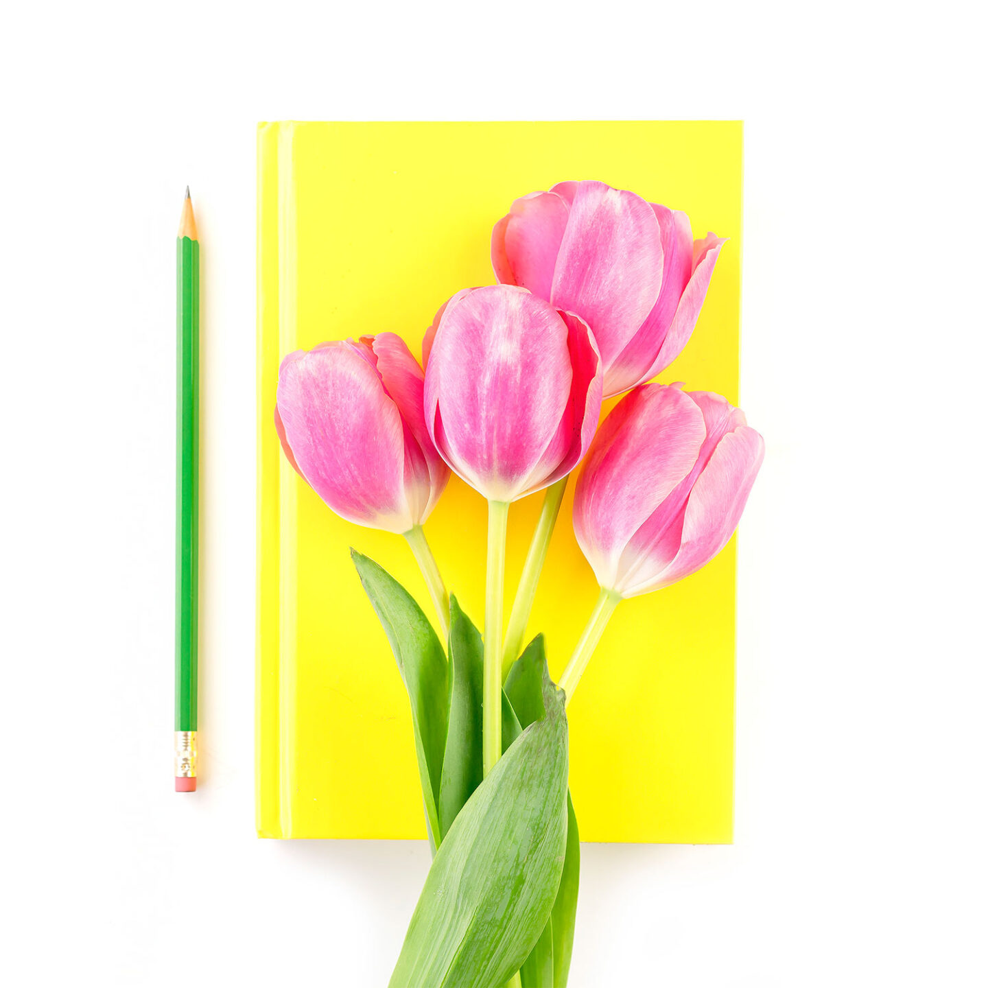 notebook, pencil and tulips