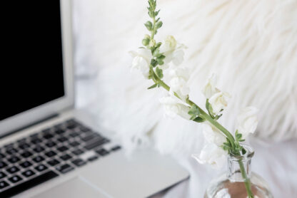 gBlUBAAAAAAAAAAAAAAAAAPANOY4AAZak3NMAAAAASUVORK5CYII=