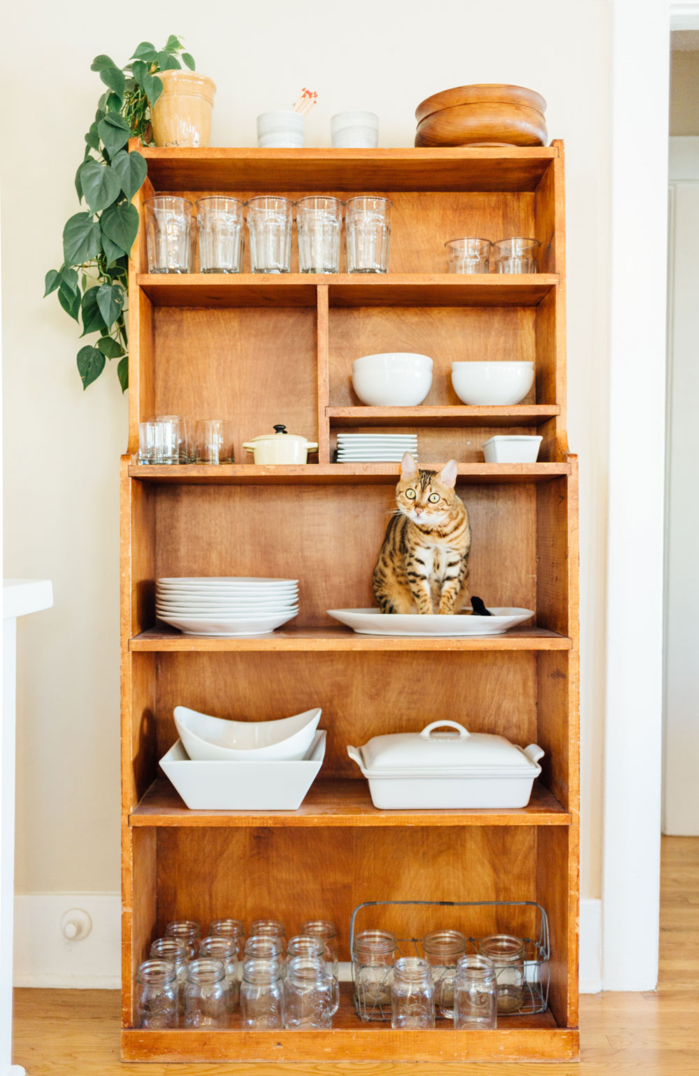 wooden kitchen shelf with dishes, glasses, crockery.