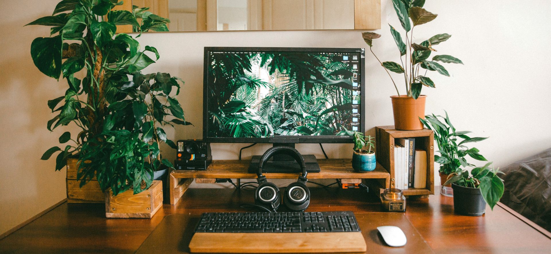 desk setup with plants
