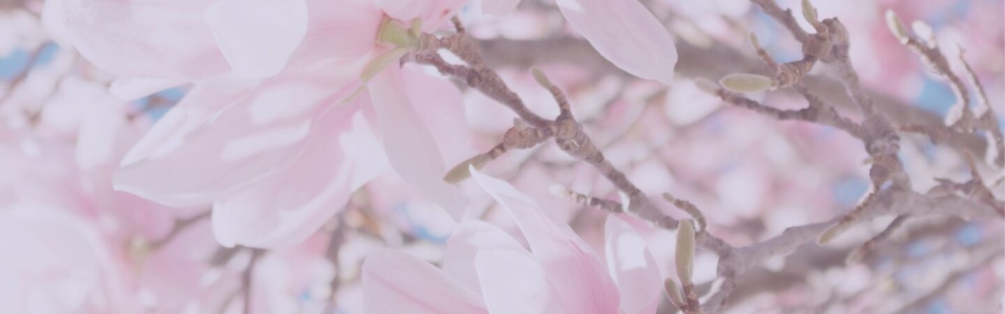 reflective self care