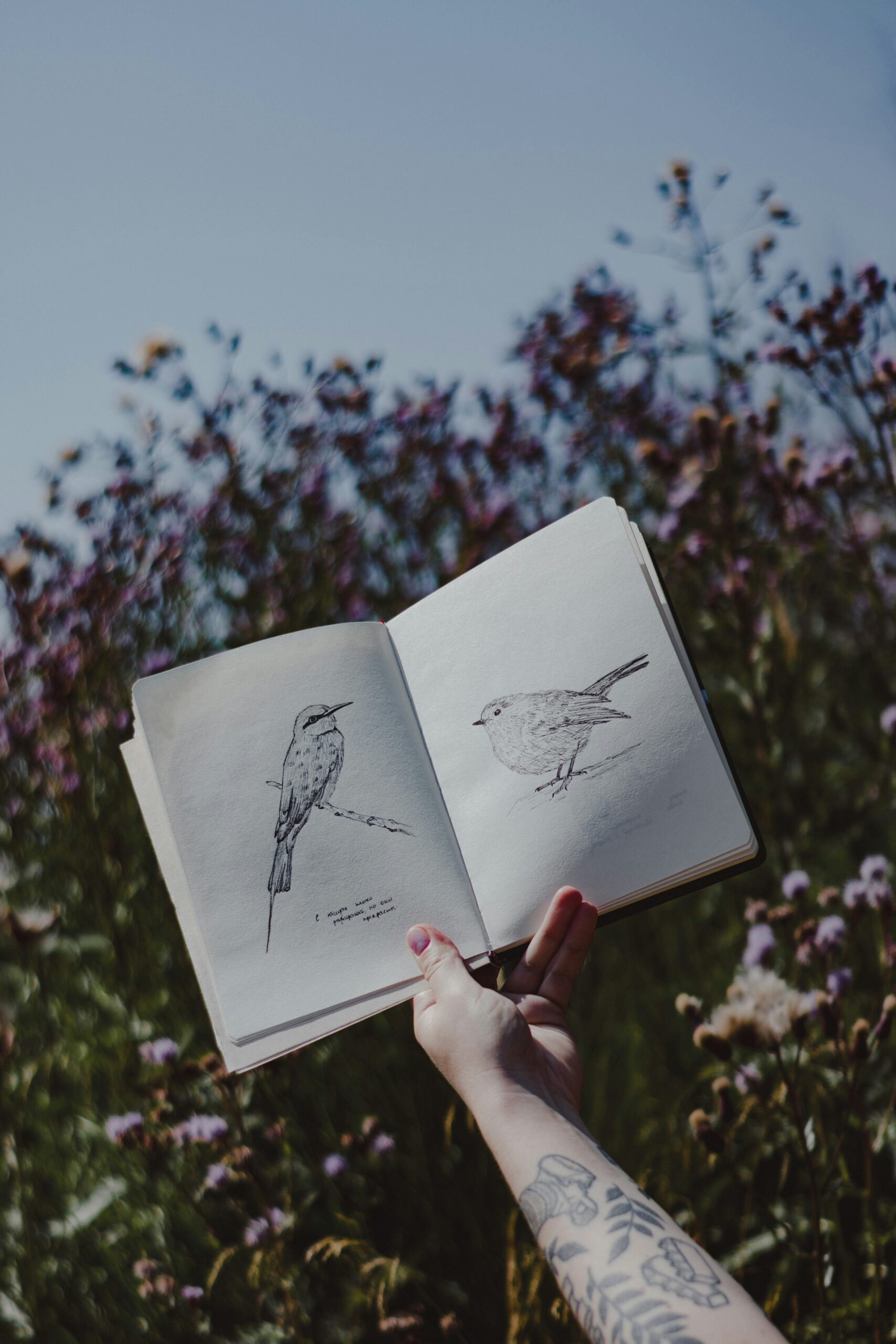 holding up sketchbook with bird drawings outside with flowers in background.