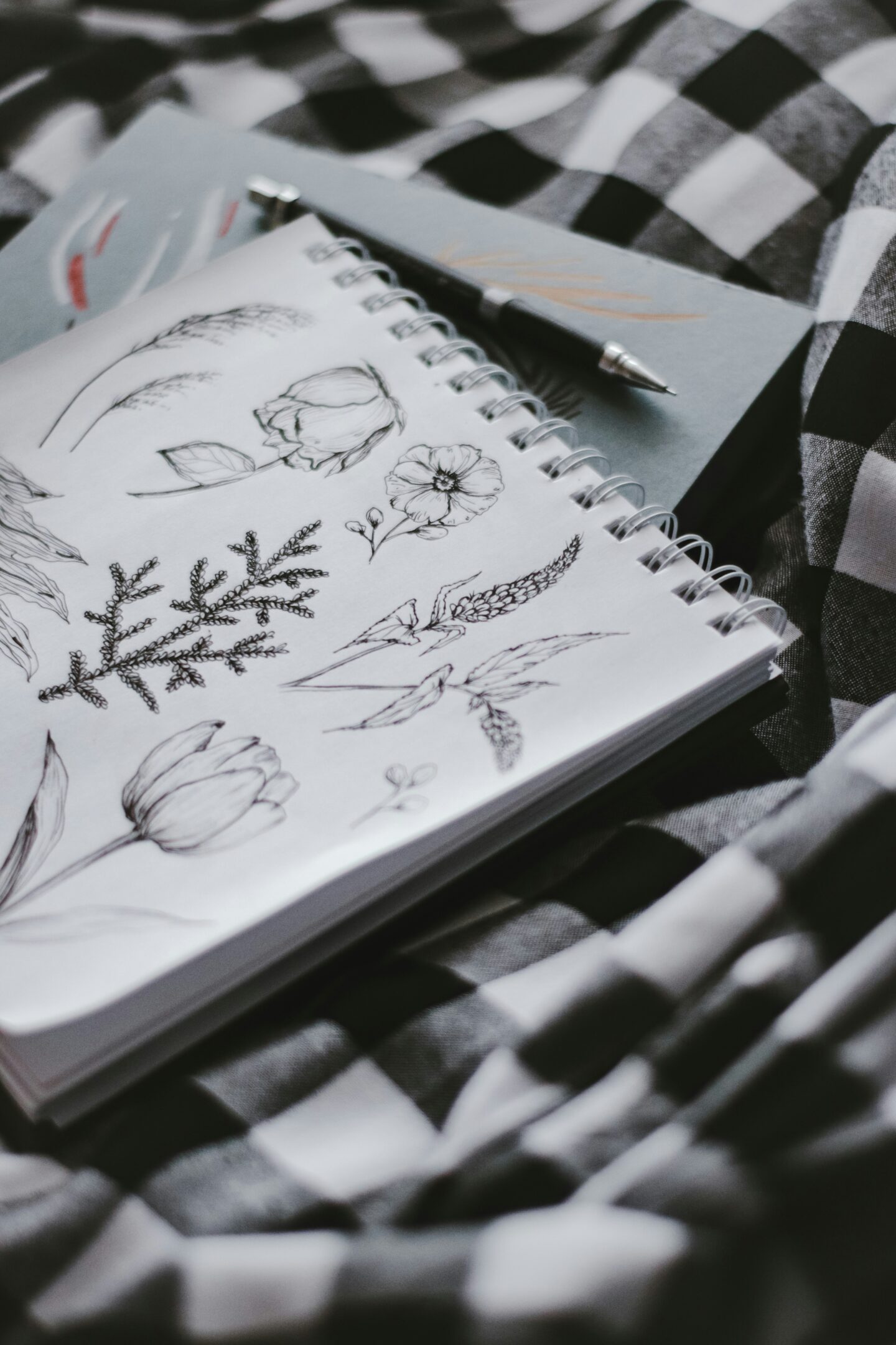 pure julia pQZMMyu8nu0 unsplash