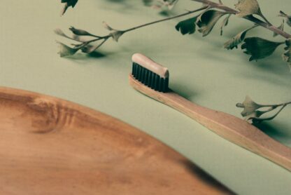 natural oral health mint and bamboo toothbrush