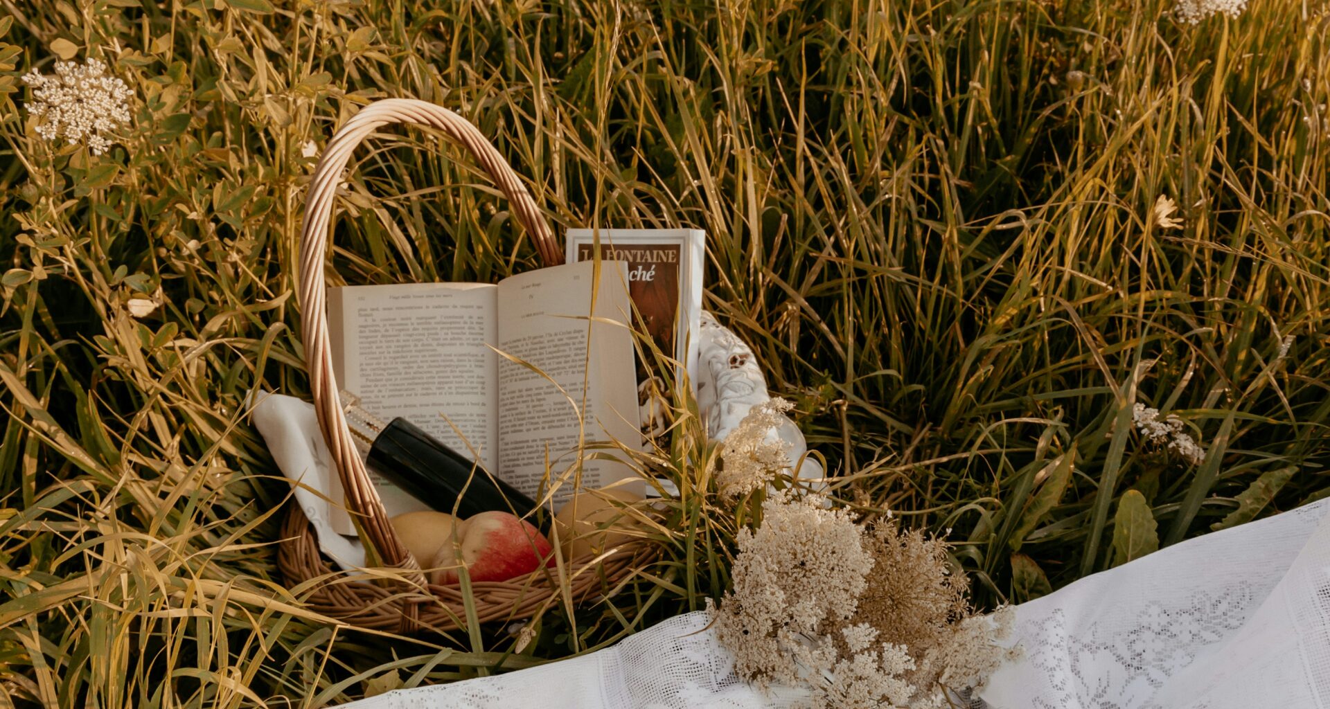 book basket in a field with a blanket