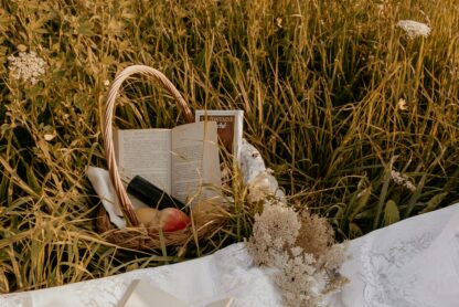 book basket in a field with a blanket