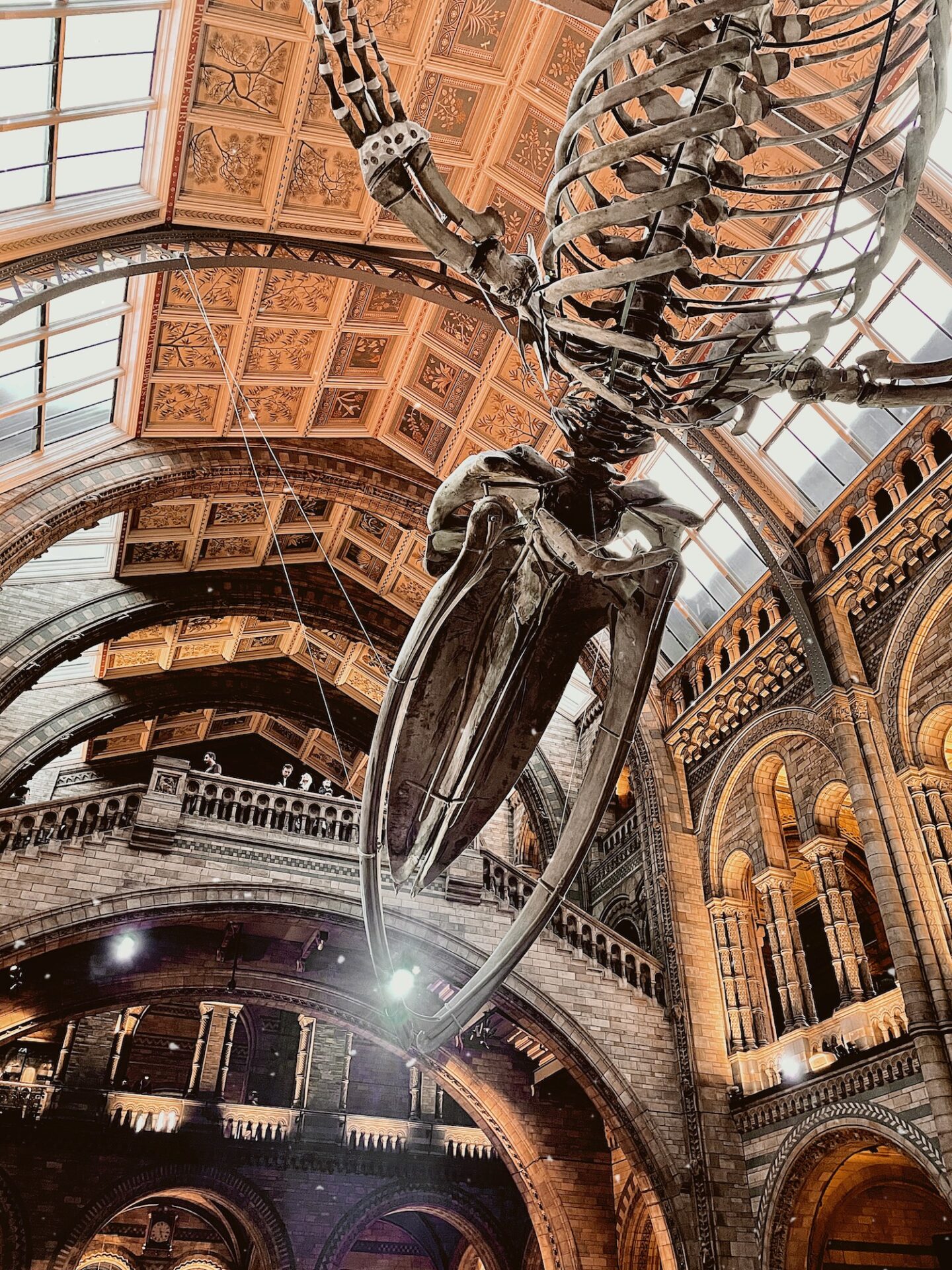 inside natural history museum