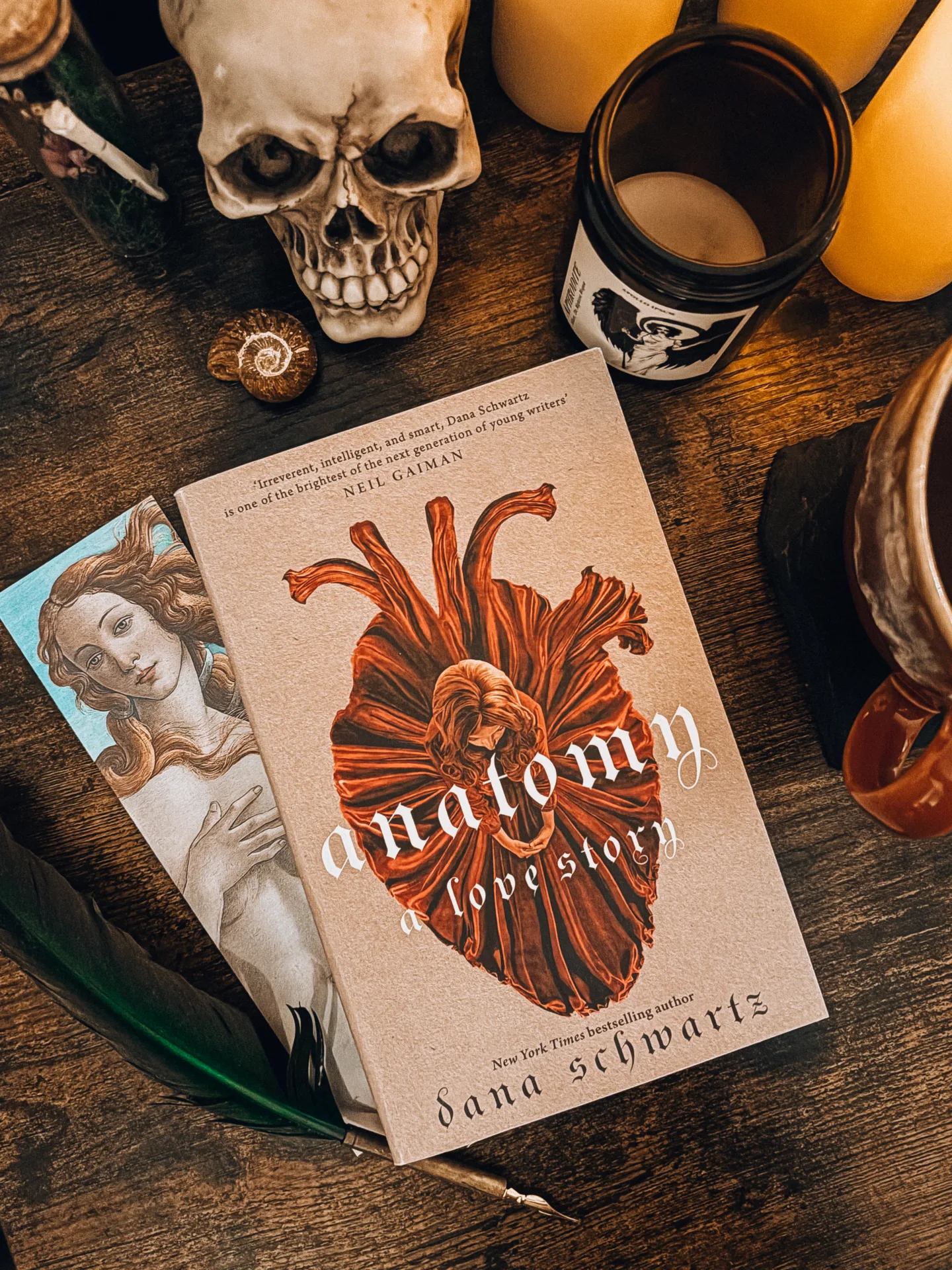 anatomy: a love story by dana schwartz