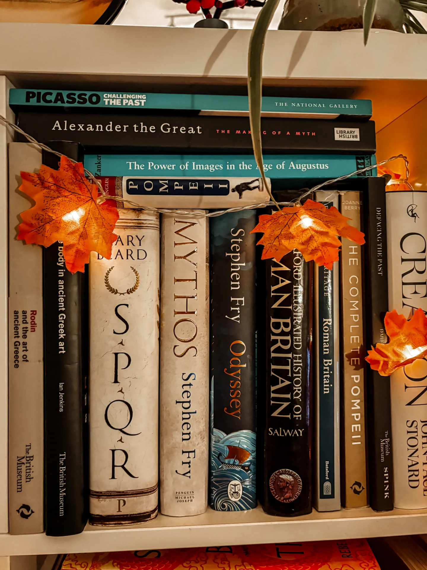 history books autumn fairylights