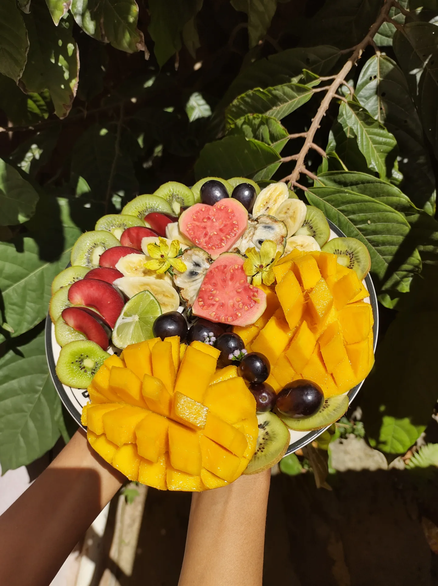 arrangement of fruit