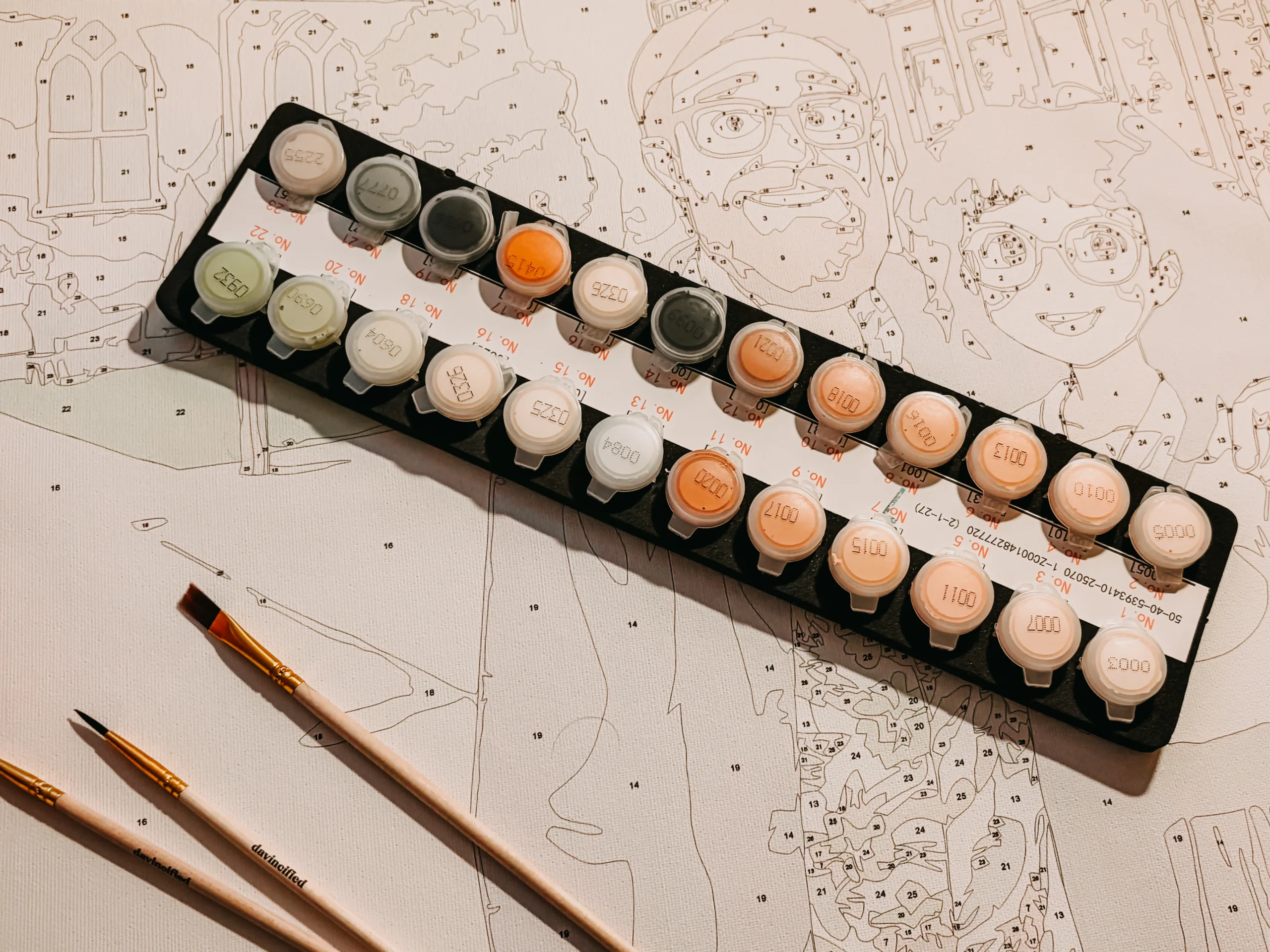 Davincified paint by numbers paints and brushes