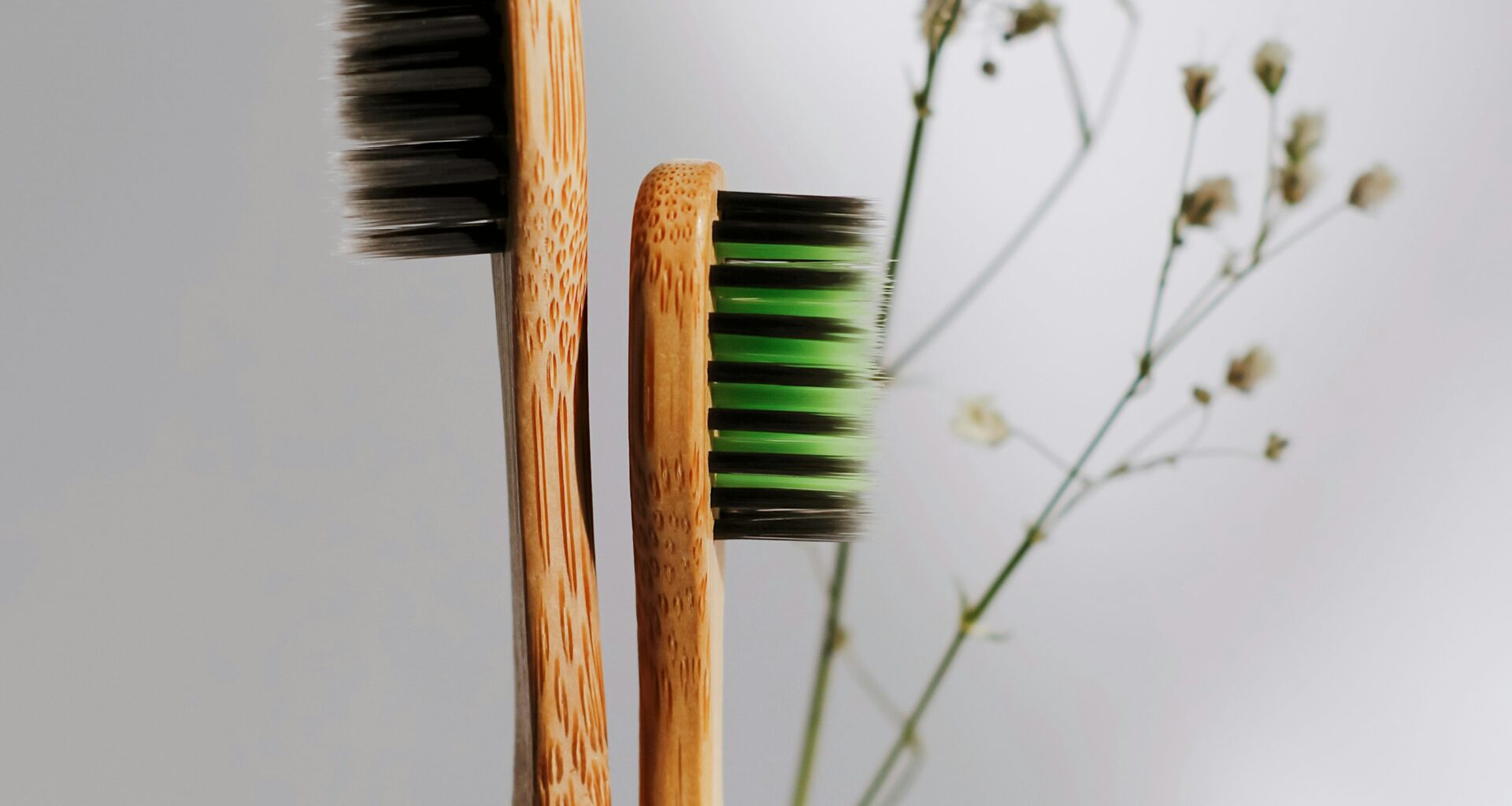 natural toothbrushes