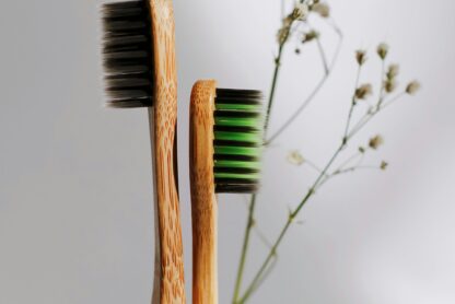 natural toothbrushes
