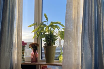 bedroom window