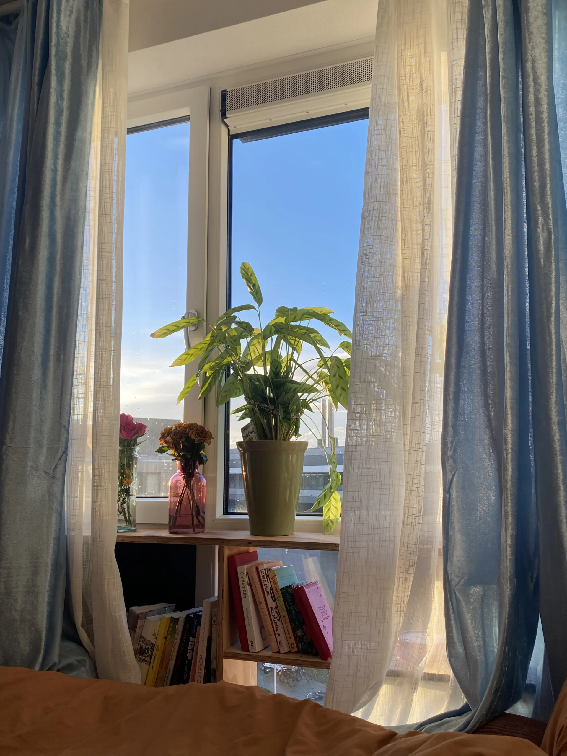 bedroom window