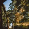 looking through car window