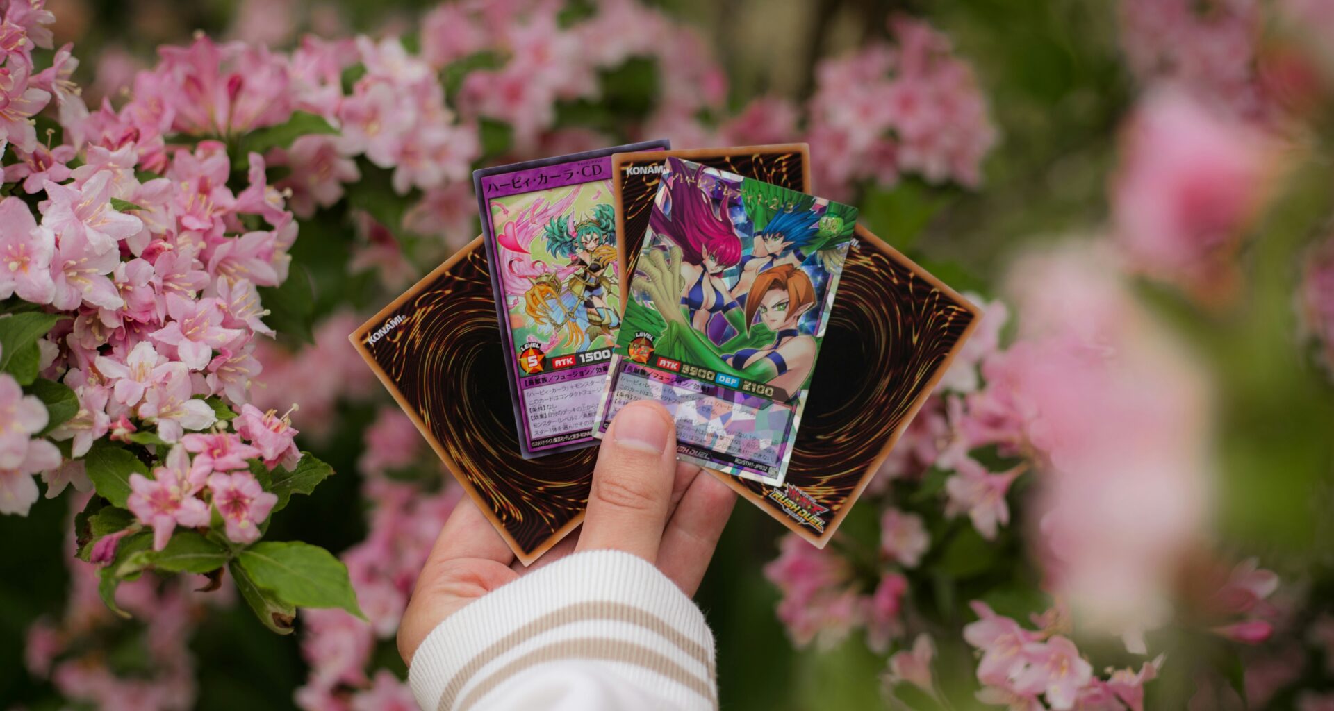 trading cards