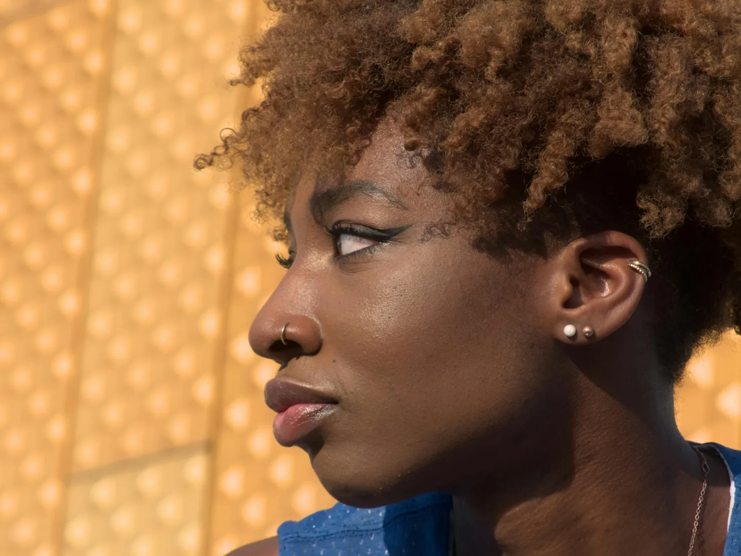 woman with nose piercing and earrings