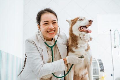 Veterinarian smiling while examining a happy Siberian Husky with a stethoscope during a routine check-up at a modern veterinary clinic.
