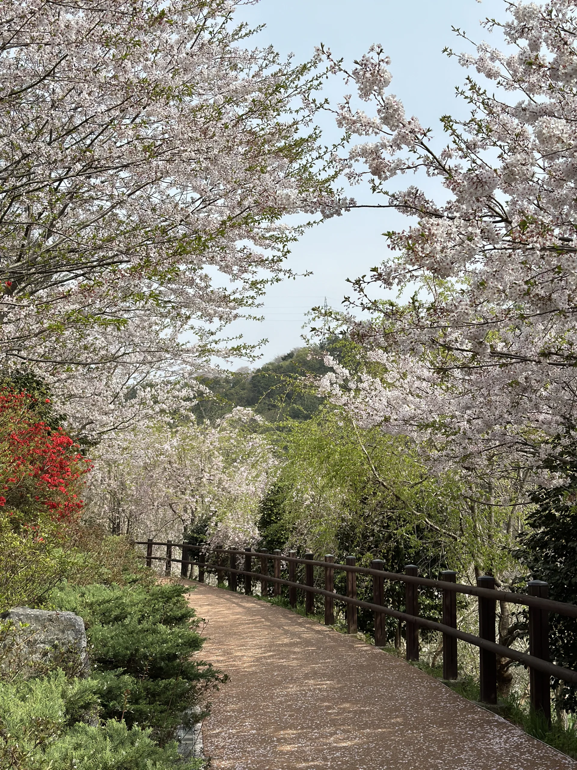 kyoto japan